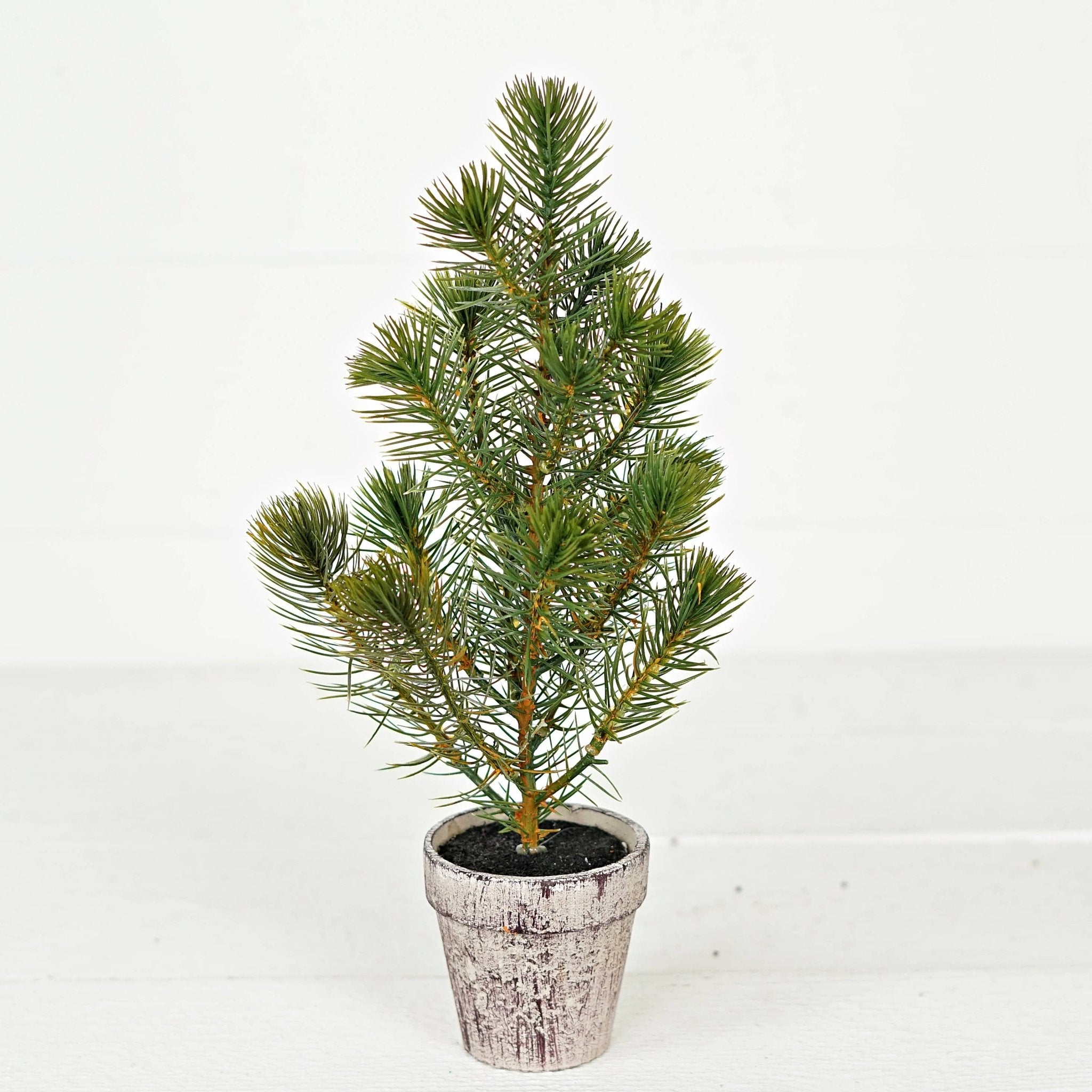 ISB72098 - 12inH Sierra Pine Mini Tree on Pot - HER Home Design Boutique